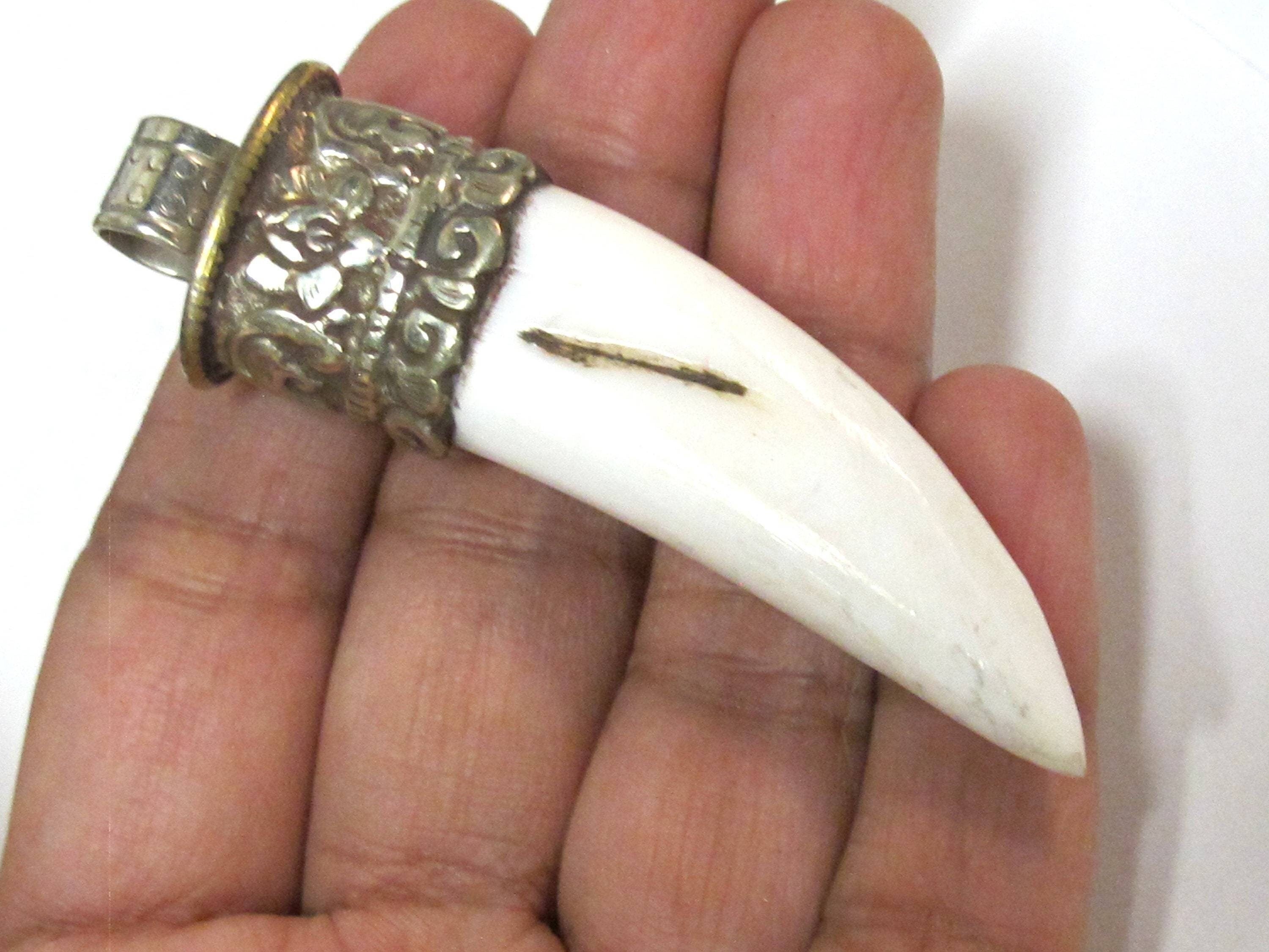 1 Tibetan shell Pendant - Ethnic Tibetan tribal naga conch shell tooth shape shell pendant with carving on bail - SP013C