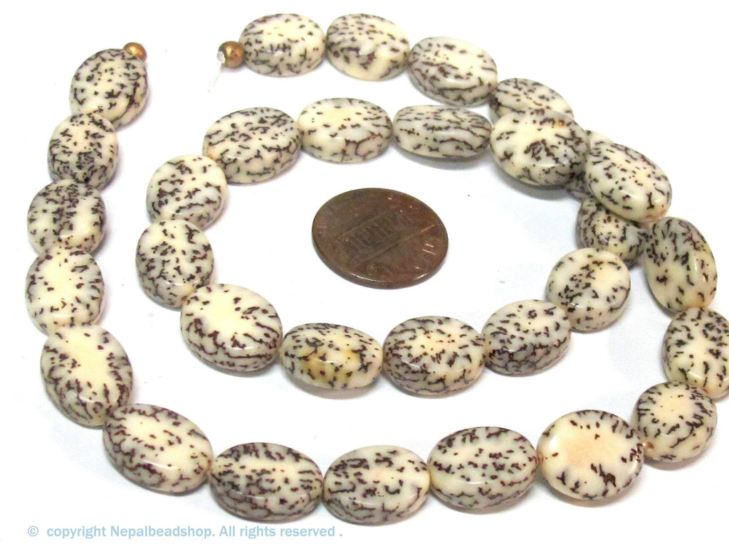 1 full strand -Natural salwag flat oval shape seed beads - NB035B