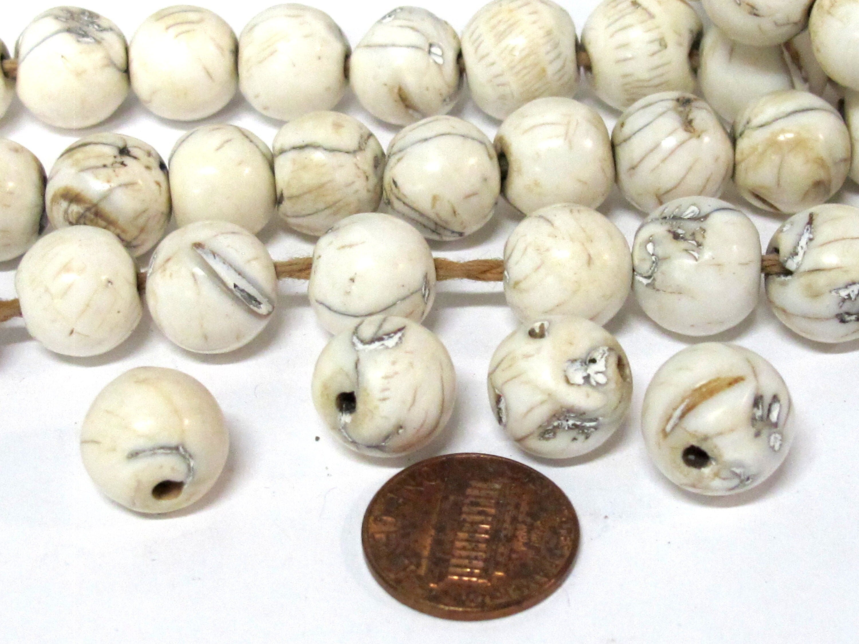 1 Bead - Ethnic tibetan Nepal natural naga conch shell chank beads - CH069