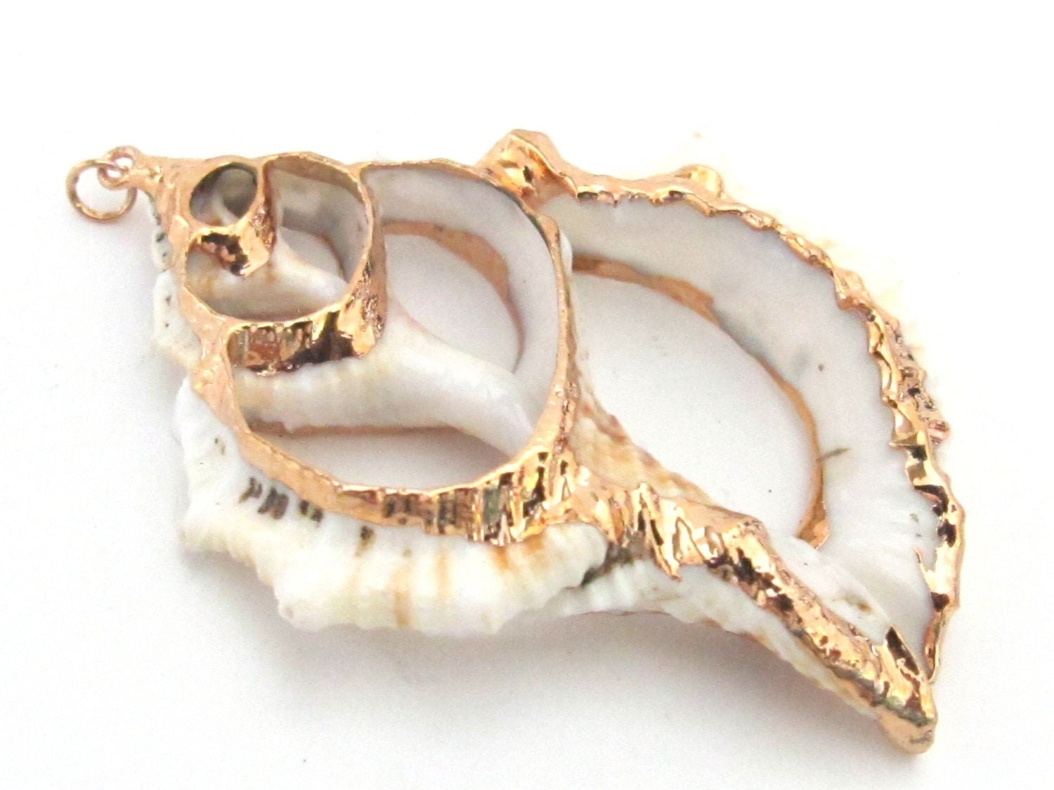 Shell pendant - Medium size complete center cut fox conch shell gold edged pendant - 1 piece - SP034