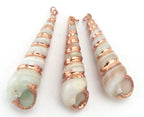 Beautiful Rose Gold edged spiral turitella shell pendant - 1 piece - SP030A