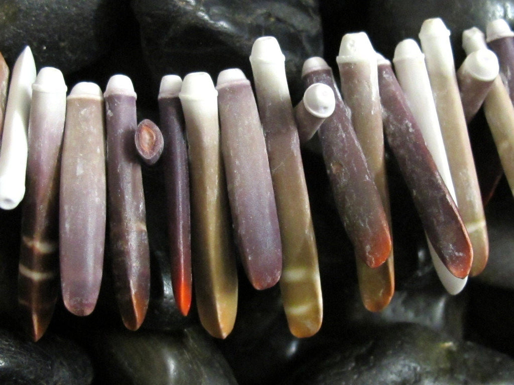 10 Beads -Sea Urchin sticks natural shell beads -- NB030s