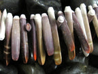 10 Beads -Sea Urchin sticks natural shell beads -- NB030s