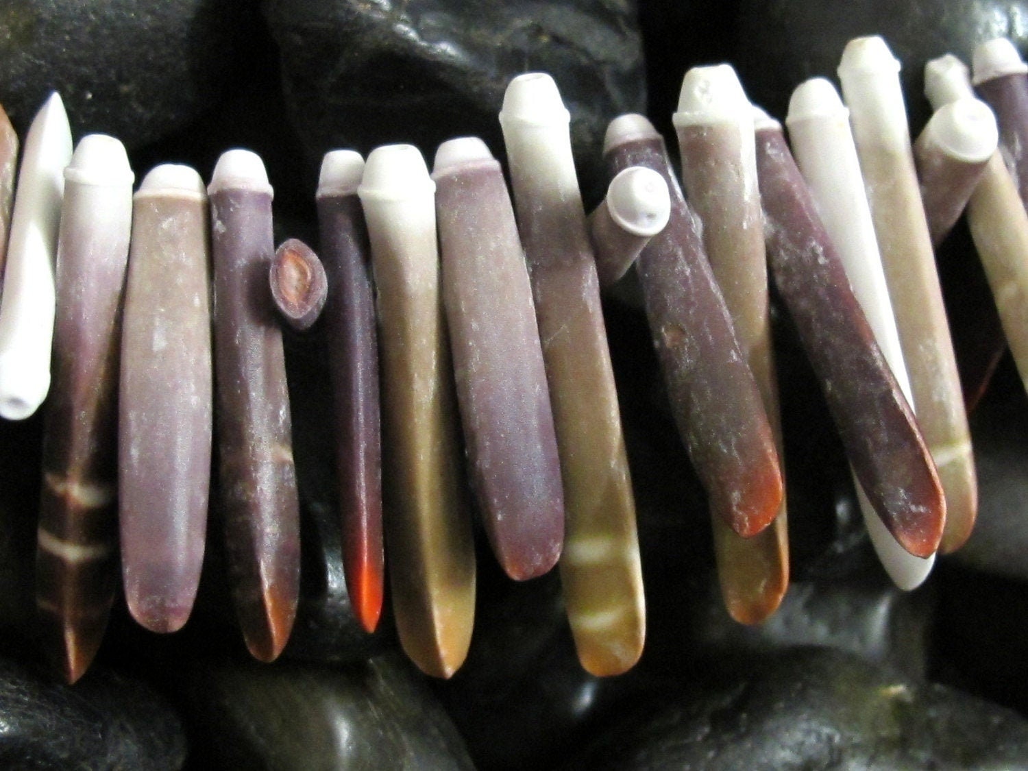 10 Beads -Sea Urchin sticks natural shell beads -- NB030s