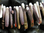 10 Beads -Sea Urchin sticks natural shell beads -- NB030s