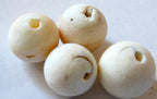 2 Beads - Tibetan Nepalese naga natural conch shell beads - CH003
