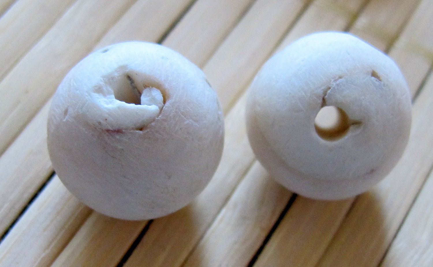 2 Beads - Tibetan Nepalese naga natural conch shell beads - CH003