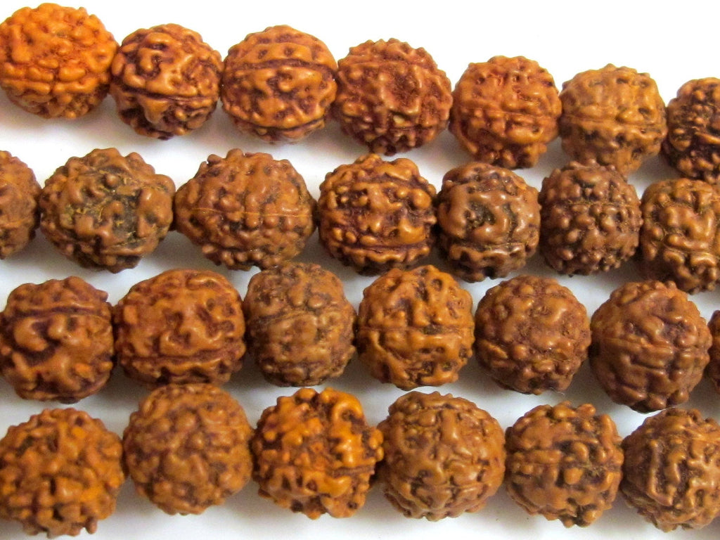 10 beads -Natural Rudraksha seed beads from Nepal - 9 -10 mm - NB010