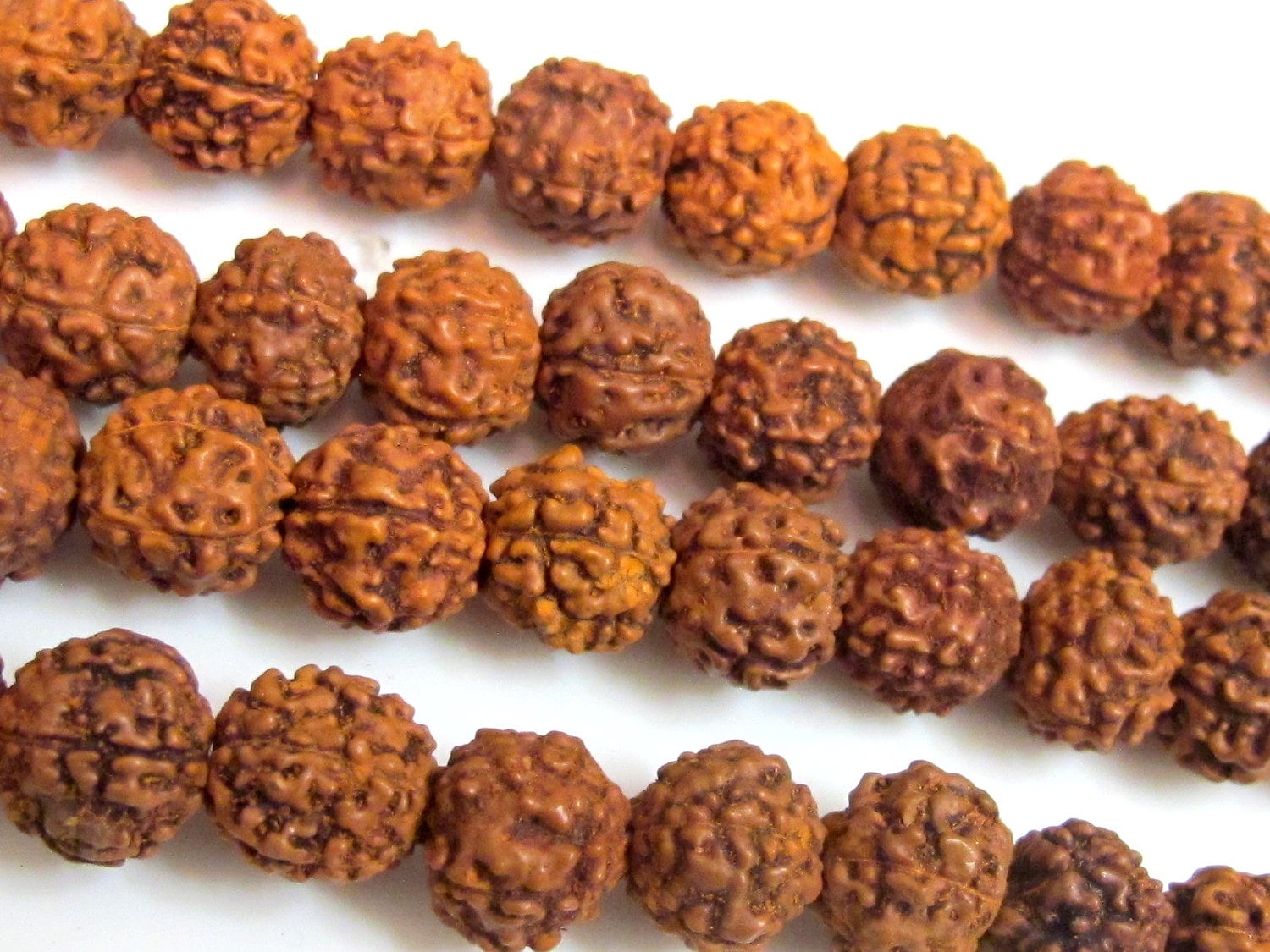 10 beads -Natural Rudraksha seed beads from Nepal - 9 -10 mm - NB010