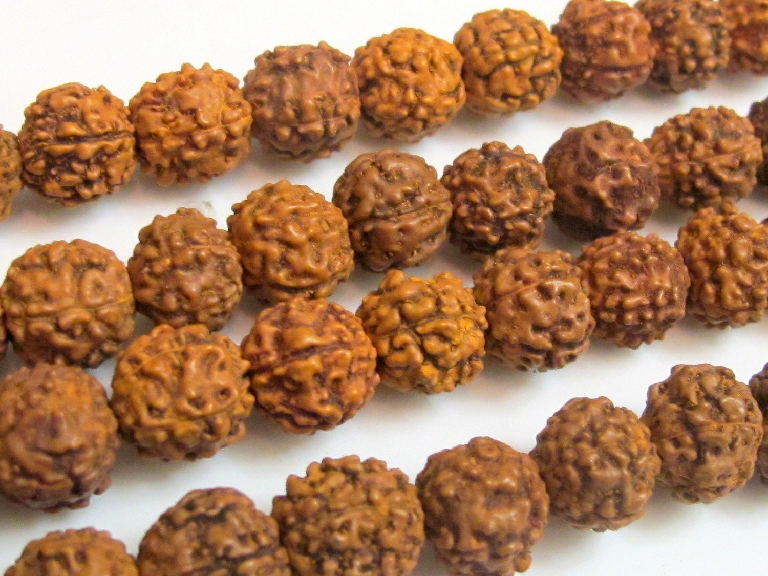 10 beads -Natural Rudraksha seed beads from Nepal - 9 -10 mm - NB010