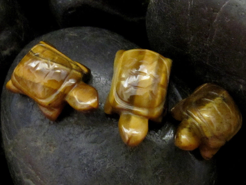 2 beads - Carved Turtle charm beads Tigers eye natural gemstone - GM005