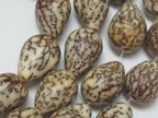 10 Beads-Natural salwag teardrop shape seed beads - NB004A