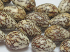 10 Beads-Natural salwag teardrop shape seed beads - NB004A