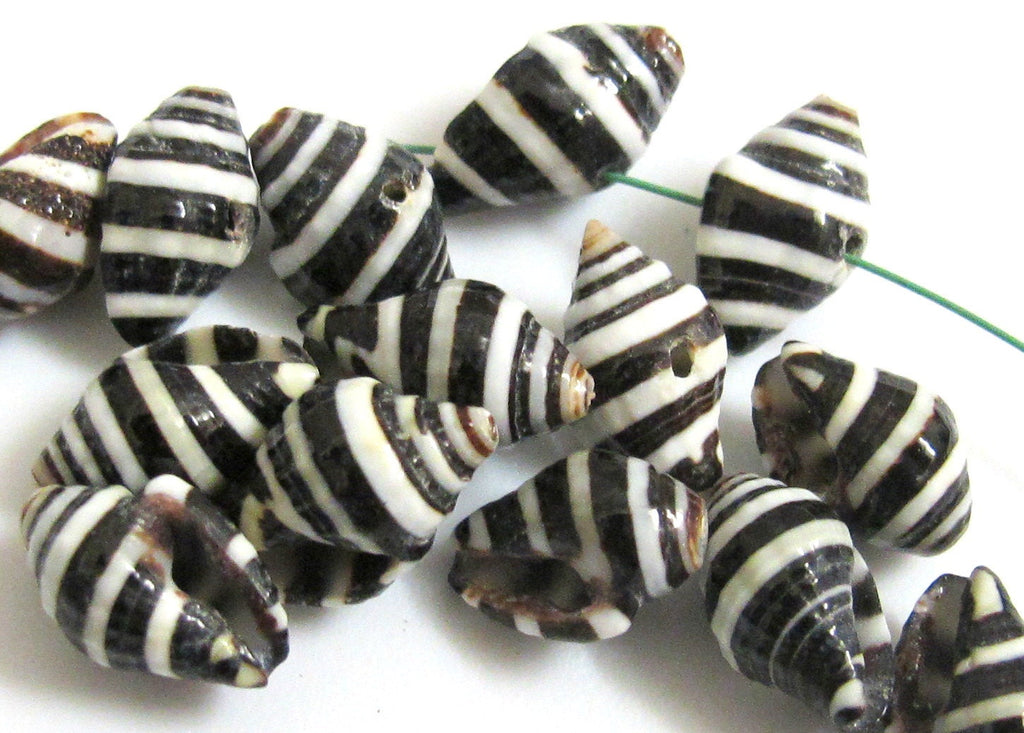 10 Beads - Natural pyrene shell beads black and white stripes -NB025