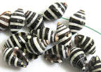 10 Beads - Natural pyrene shell beads black and white stripes -NB025