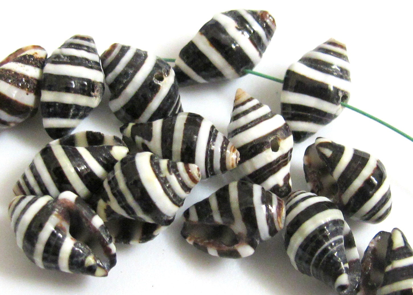 10 Beads - Natural pyrene shell beads black and white stripes -NB025
