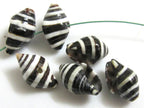 10 Beads - Natural pyrene shell beads black and white stripes -NB025
