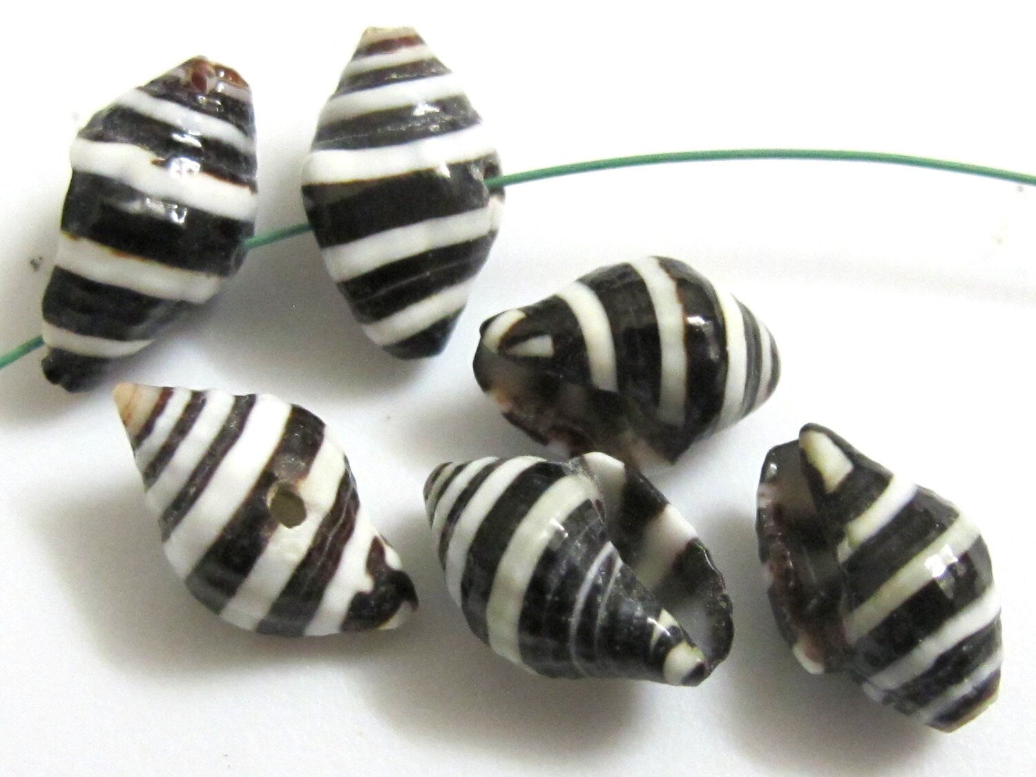 10 Beads - Natural pyrene shell beads black and white stripes -NB025