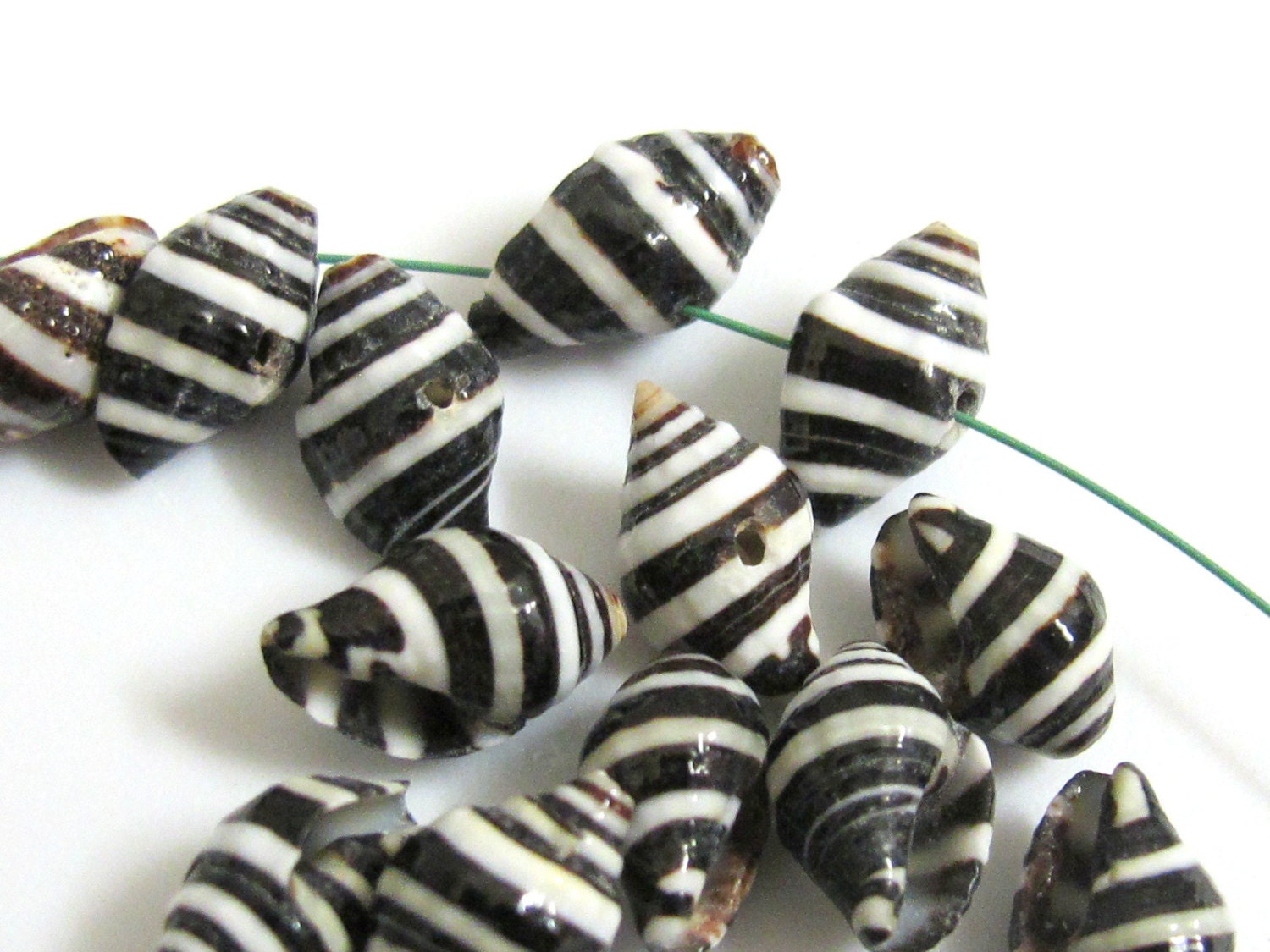 10 Beads - Natural pyrene shell beads black and white stripes -NB025