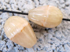Carved honey yellow melon carved agate gemstone beads - 2 beads - GM048