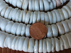 10 Beads - Tibetan Nepal Ethnic Naga conch shell flat disc beads 15-16 mm size - CH080
