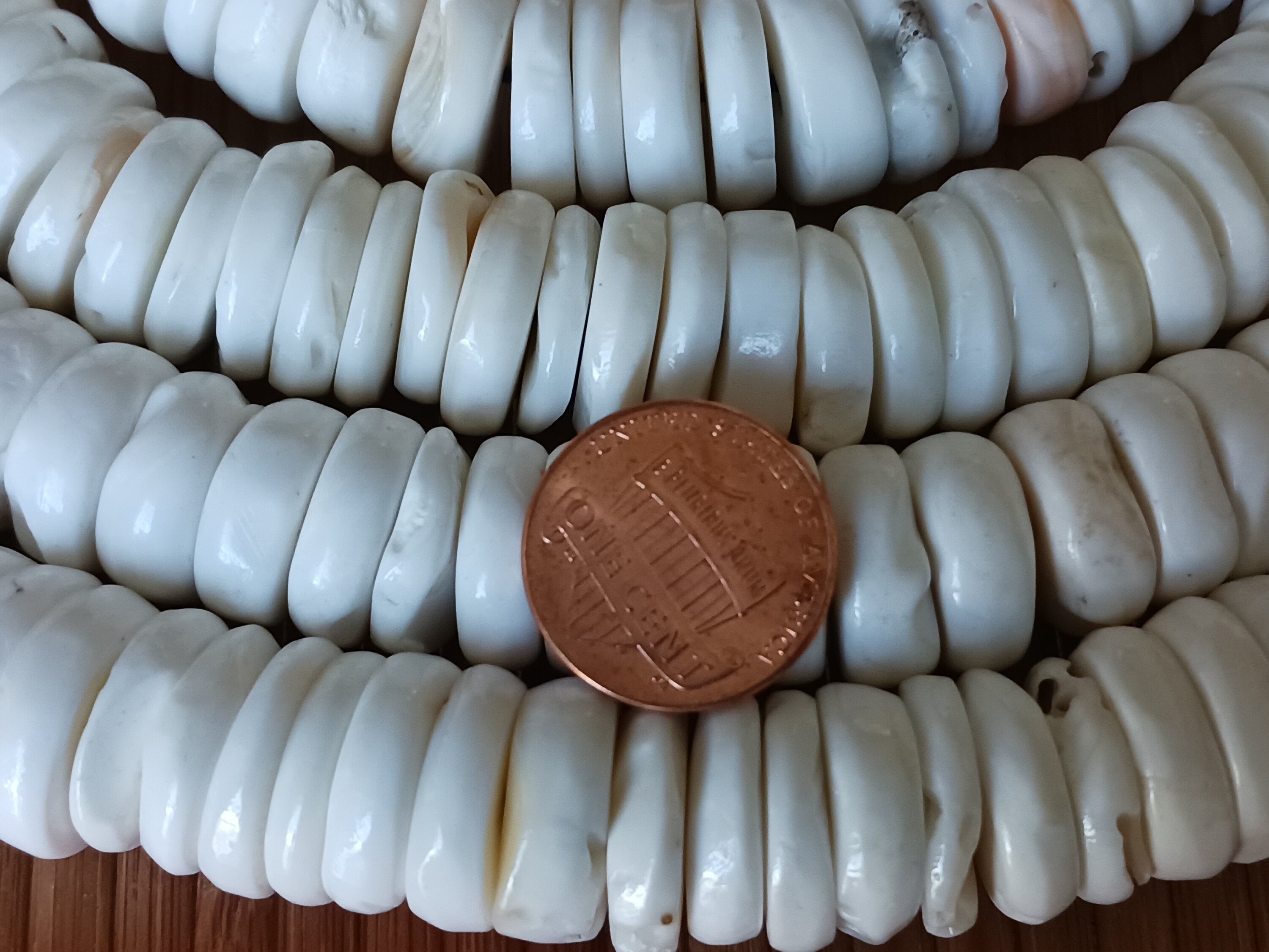 10 Beads - Tibetan Nepal Ethnic Naga conch shell flat disc beads 15-16 mm size - CH080