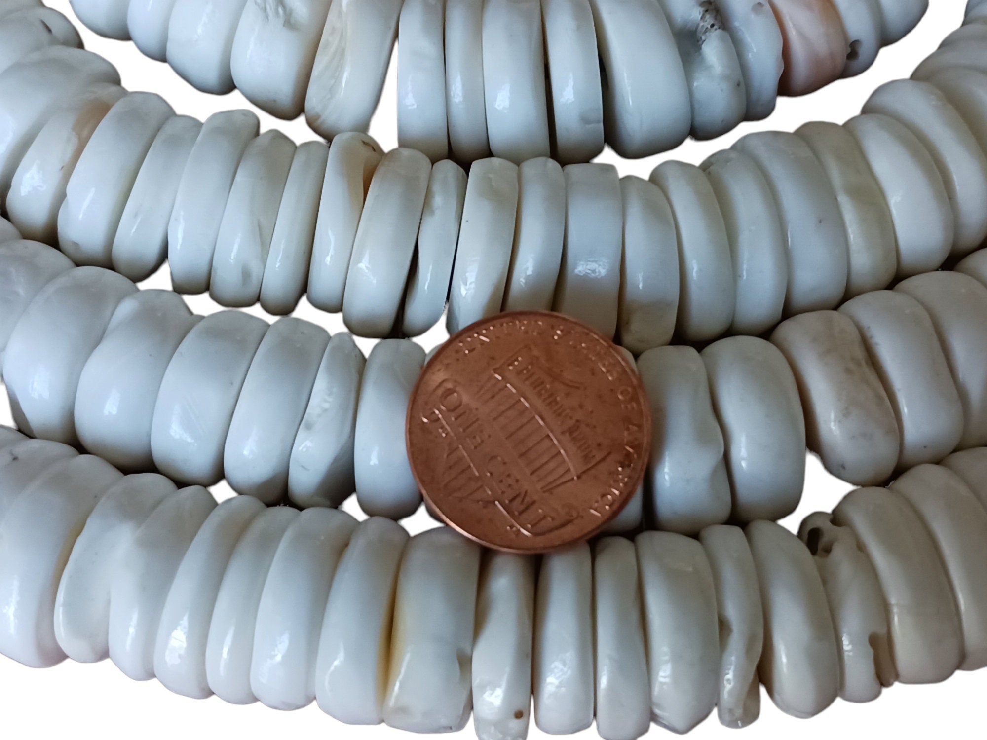10 Beads - Tibetan Nepal Ethnic Naga conch shell flat disc beads 15-16 mm size - CH080