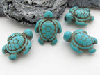 2 Beads-Howlite turquoise Carved Turtle charm beads - GM068