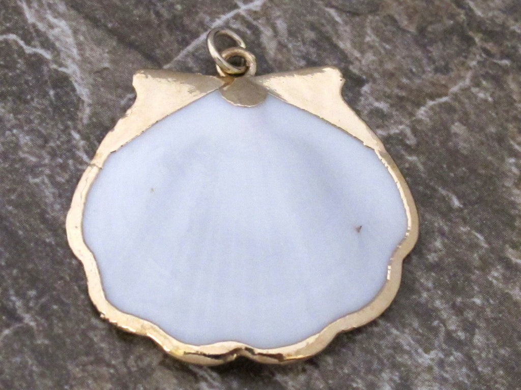 Exotic Gold color edged white scallop shell pendant - 1 pendant- SP009