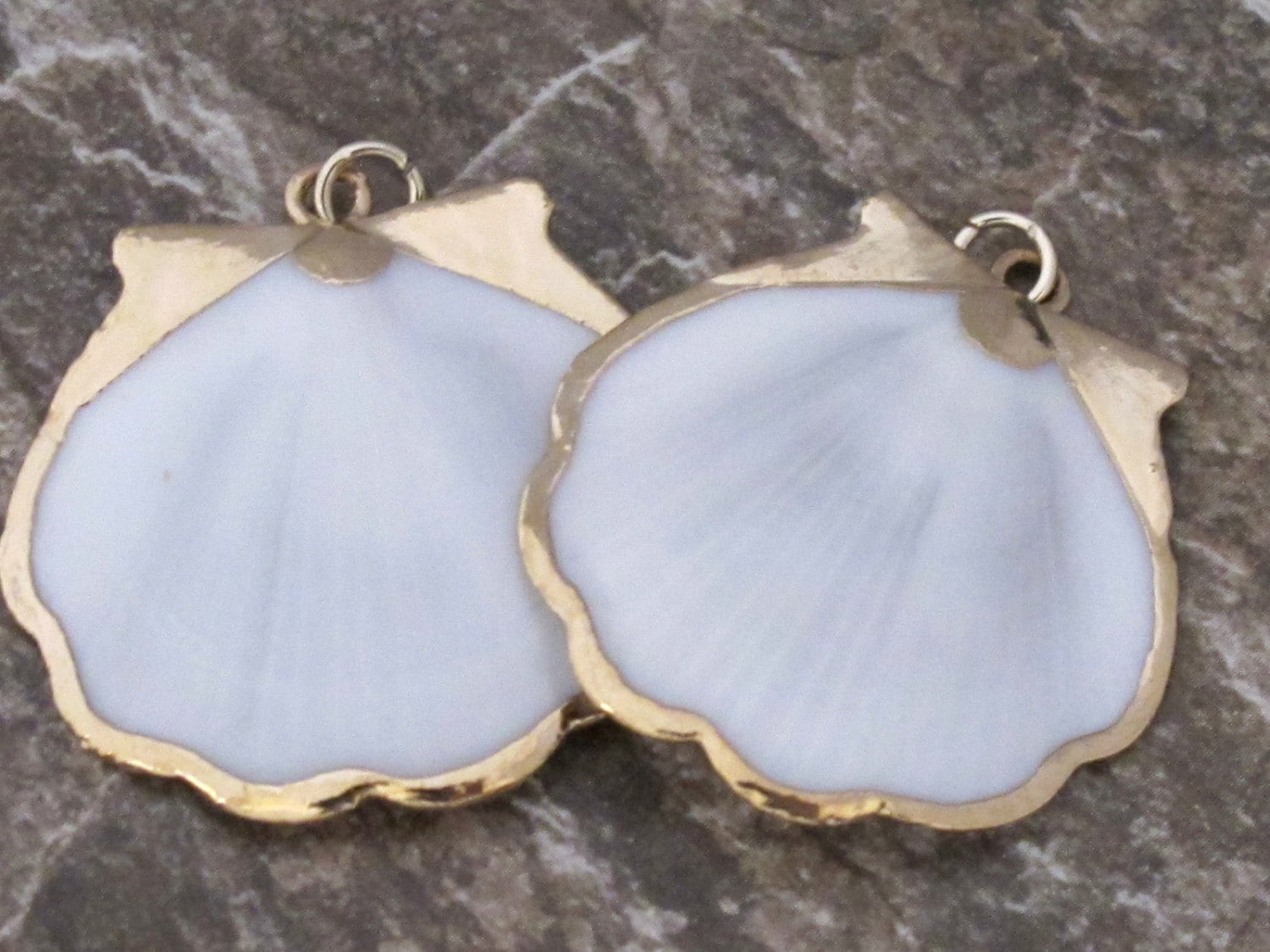 Exotic Gold color edged white scallop shell pendant - 1 pendant- SP009