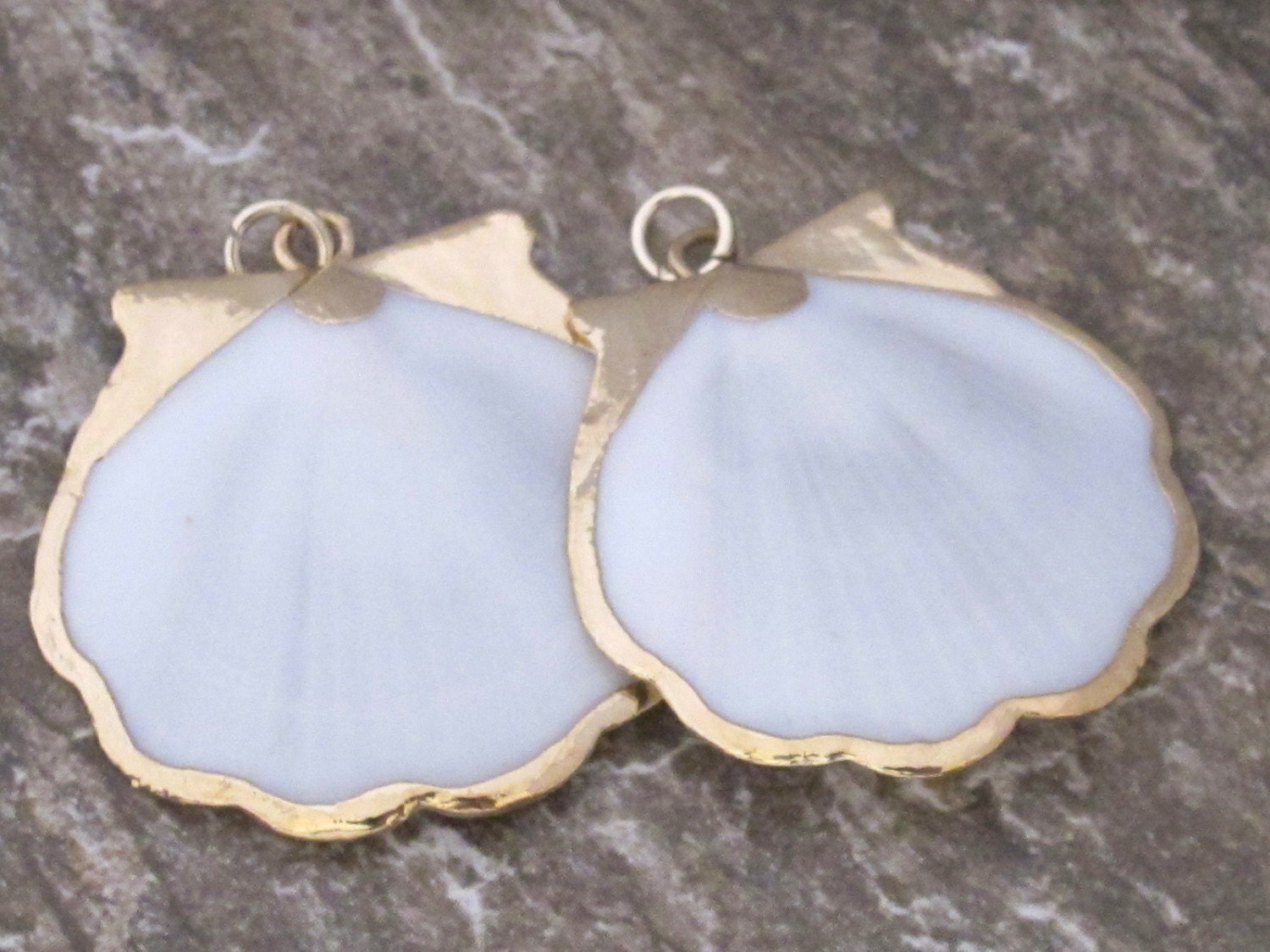 Exotic Gold color edged white scallop shell pendant - 1 pendant- SP009