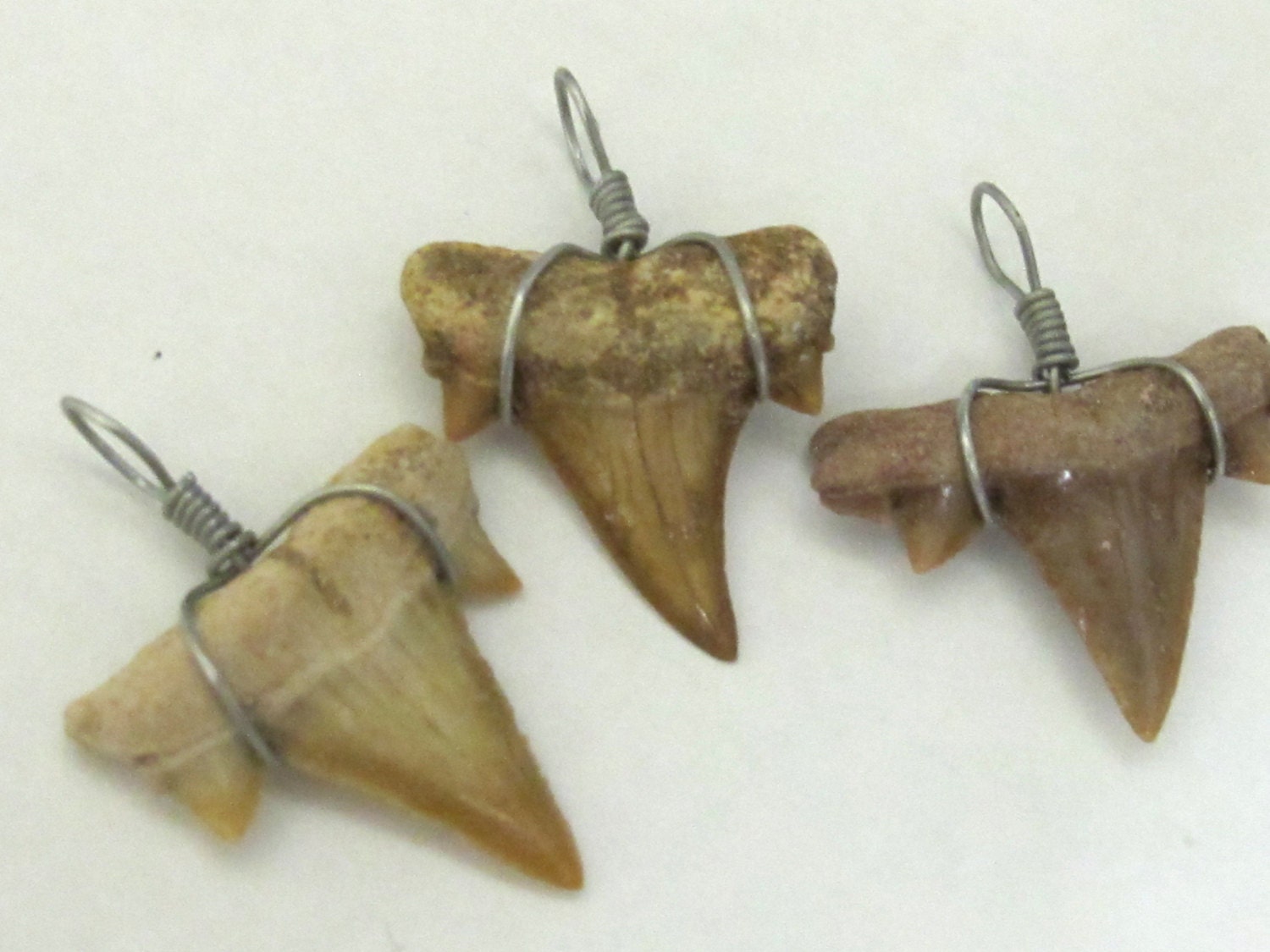 Wire wrapped genuine moroccan shark tooth pendant - 1 Pendant - SP007