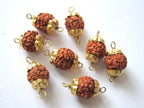 10 Beads-Natural Nepal Rudraksha seed brass capped connector beads - NB096