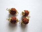 10 Beads-Natural Nepal Rudraksha seed brass capped connector beads - NB096