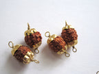 10 Beads-Natural Nepal Rudraksha seed brass capped connector beads - NB096