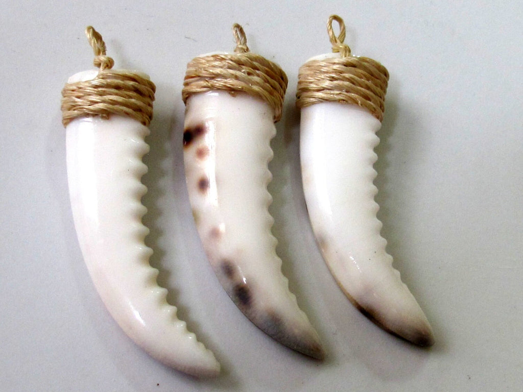1 pendant - Carved cowrie shell tooth shape tribal pendant - SP002