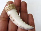 1 pendant - Carved cowrie shell tooth shape tribal pendant - SP002