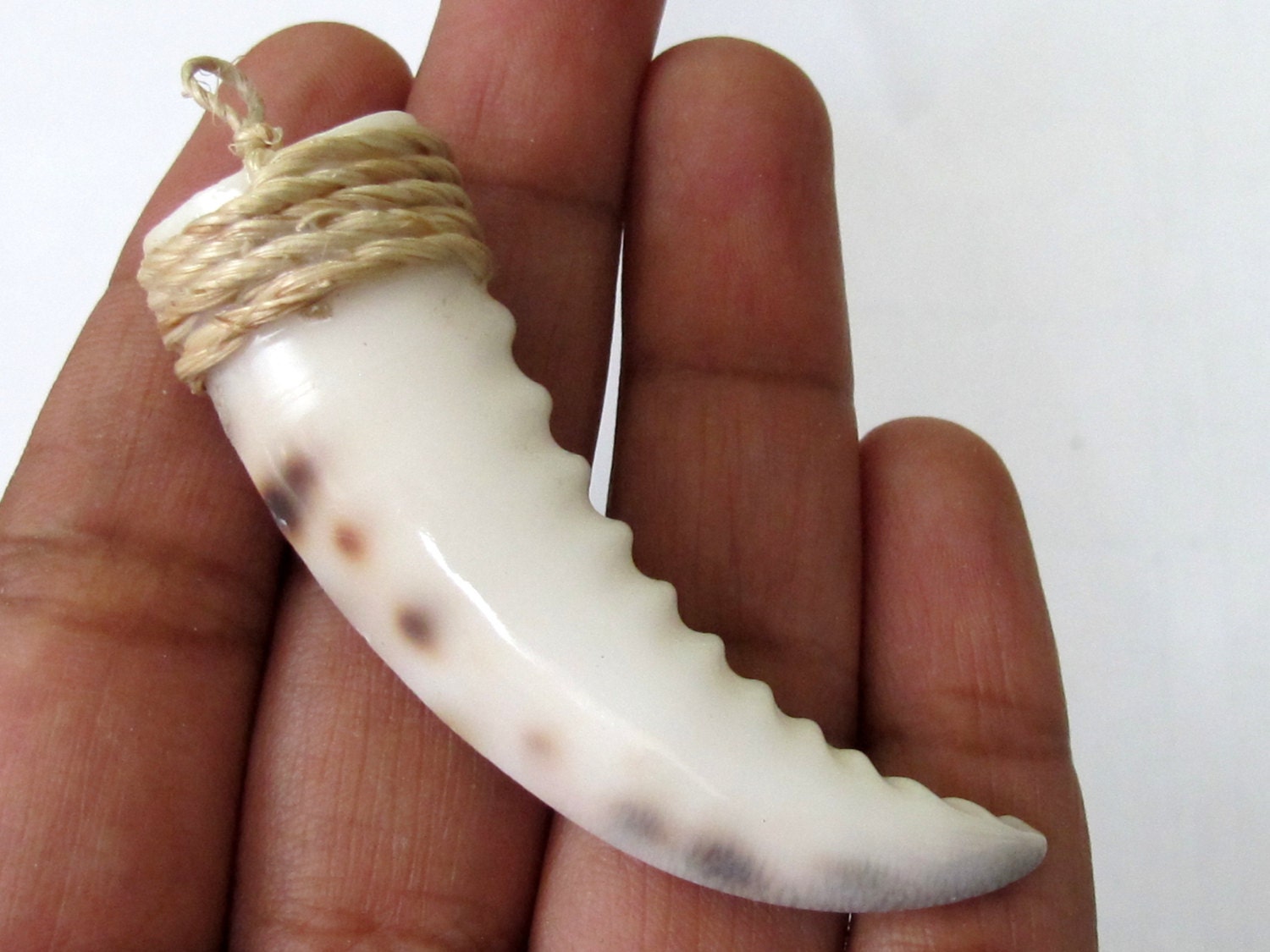1 pendant - Carved cowrie shell tooth shape tribal pendant - SP002