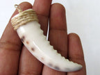1 pendant - Carved cowrie shell tooth shape tribal pendant - SP002
