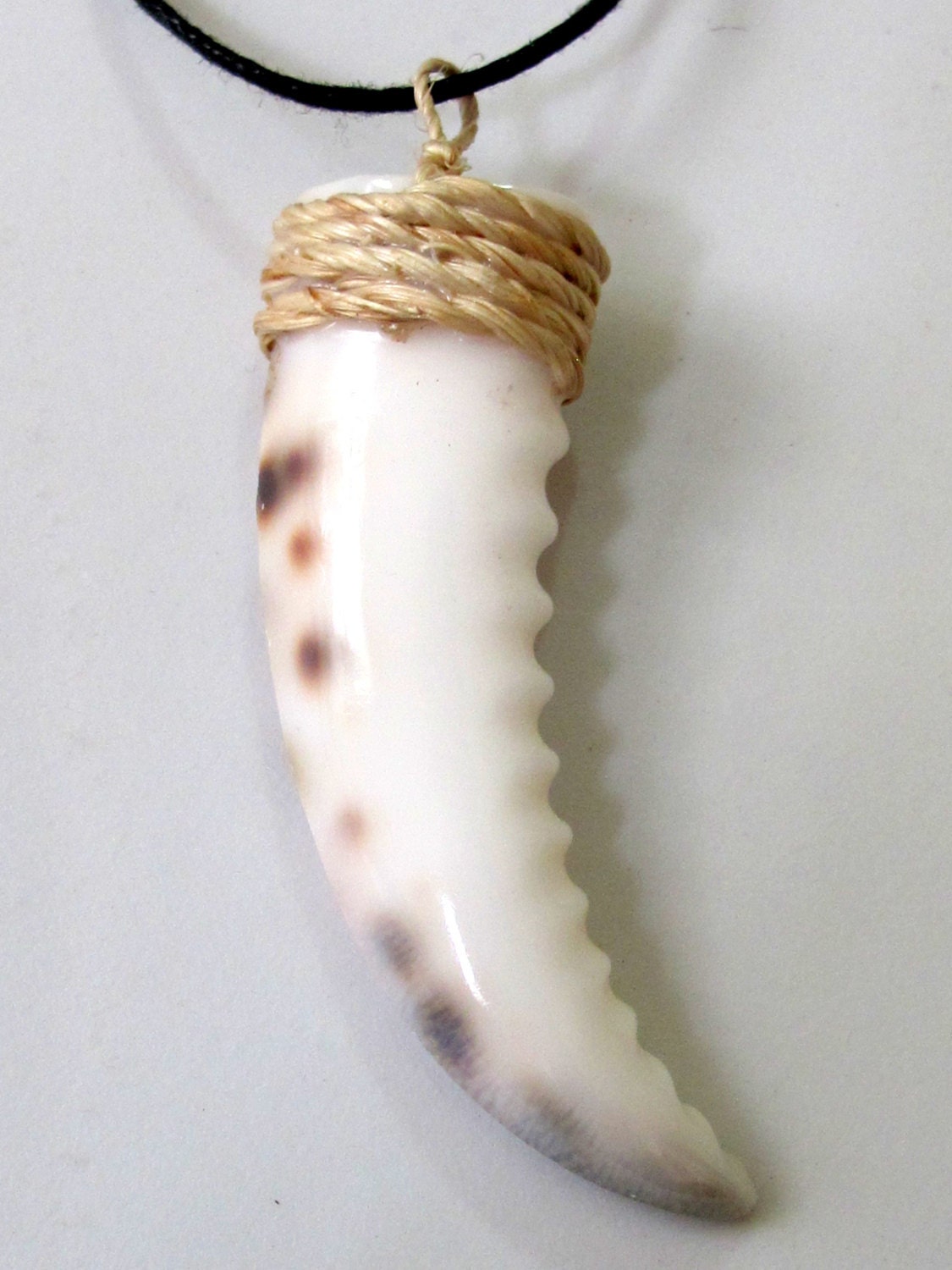 1 pendant - Carved cowrie shell tooth shape tribal pendant - SP002