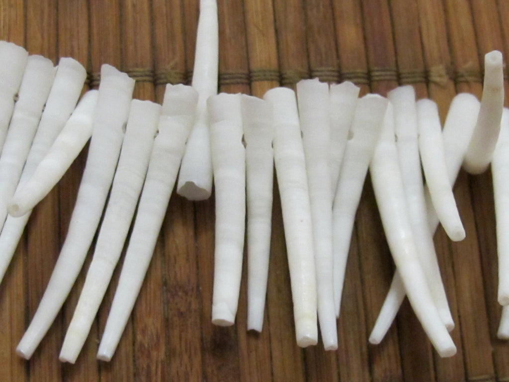 10 Beads -Top side hole drilled natural dentalium horn shape shell beads - NB099