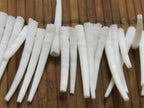 10 Beads -Top side hole drilled natural dentalium horn shape shell beads - NB099