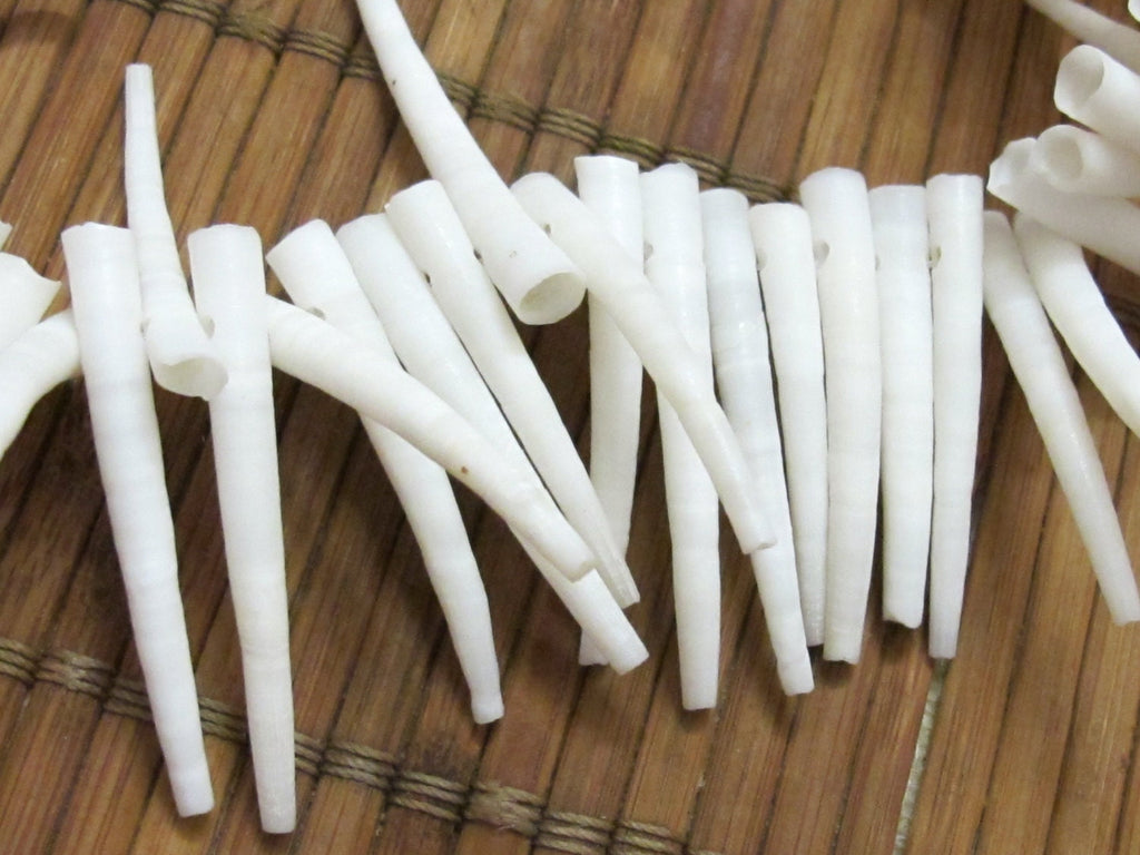10 Beads -Top side hole drilled natural dentalium horn shape shell beads - NB099