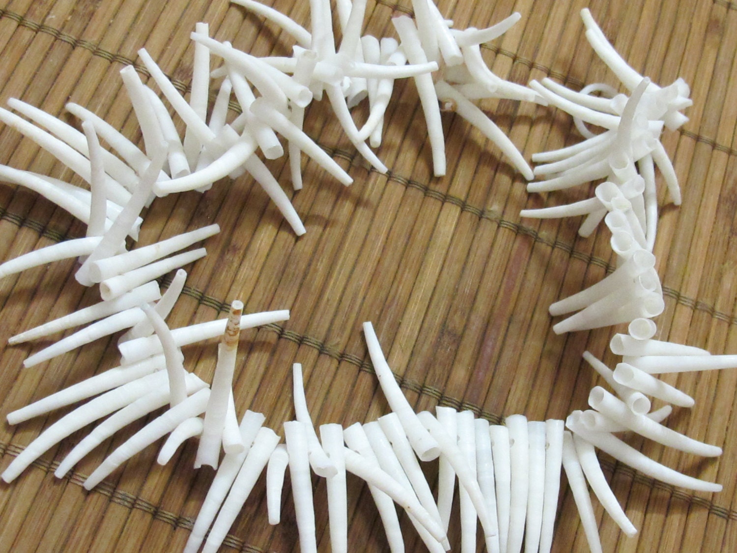 10 Beads -Top side hole drilled natural dentalium horn shape shell beads - NB099