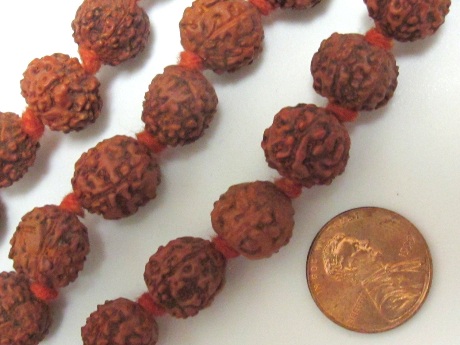 10 Beads- Rudraksha seed beads from Nepal - NB101