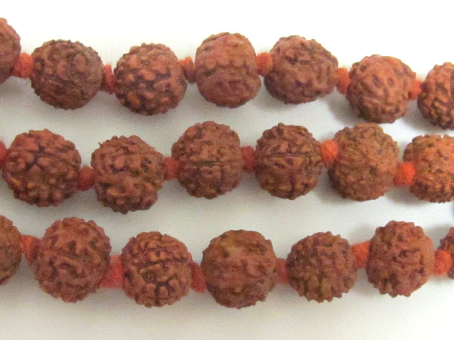 10 Beads- Rudraksha seed beads from Nepal - NB101