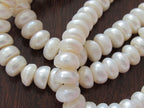 20 BEADS - Natural freshwater cultured cultured pearl rondelle shape beads - PL017