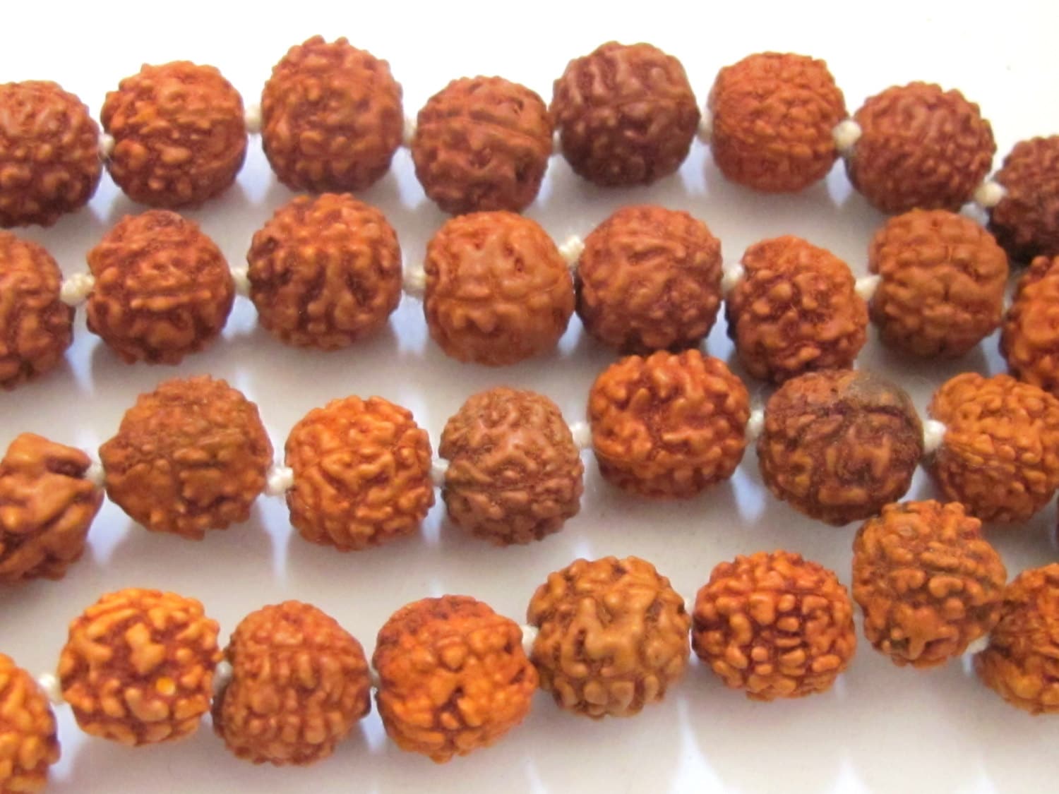 10 Beads -Natural Rudraksha seed beads from Nepal - NB010A