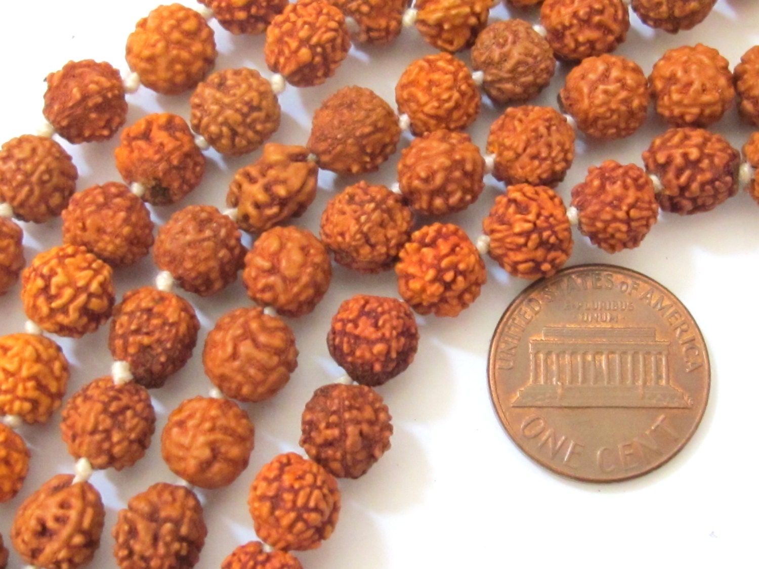 10 Beads -Natural Rudraksha seed beads from Nepal - NB010A