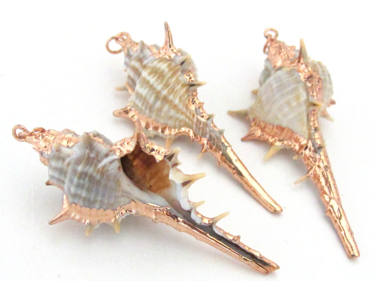 Eye catching rose Gold color edged natural Murex spiky trumpet shell pendant - 1 piece - SP029